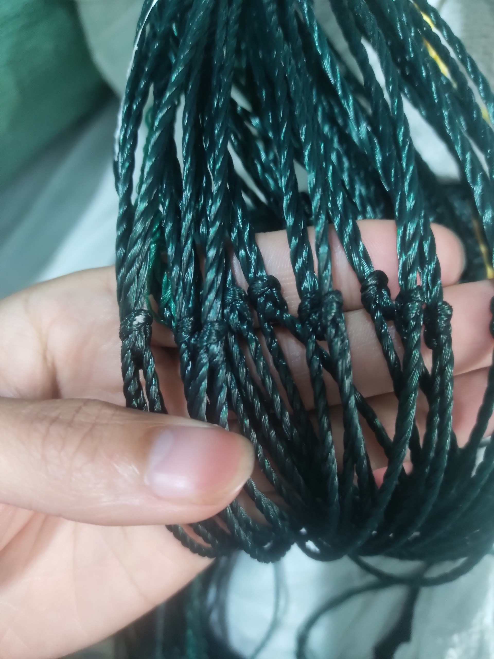 z5537157754562_5686ae36d0ec077ee9d8ec4cab5d45a1