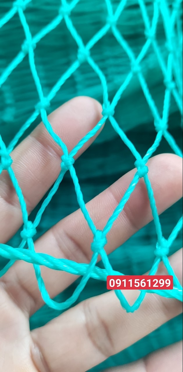 z3906853107356_62f7bddb652ec404f897eeff03847b83