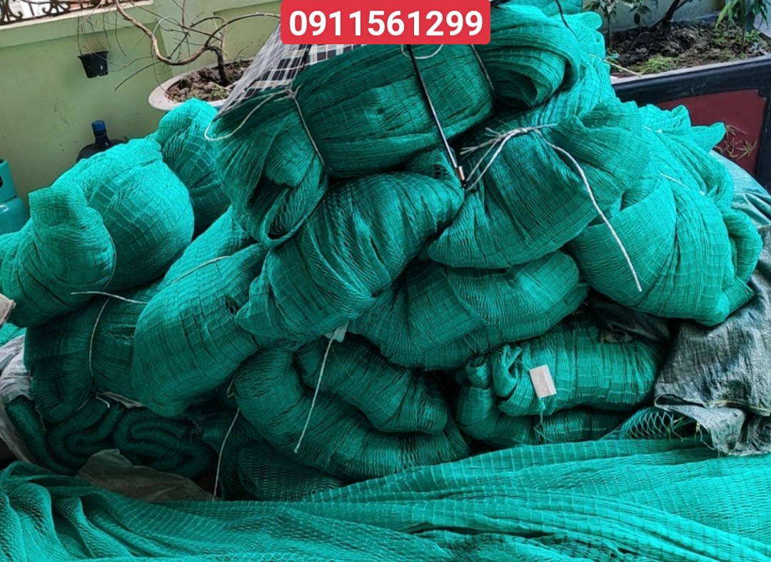 z3906856860924_be4f12df5ff72911baec3fab0203cd98