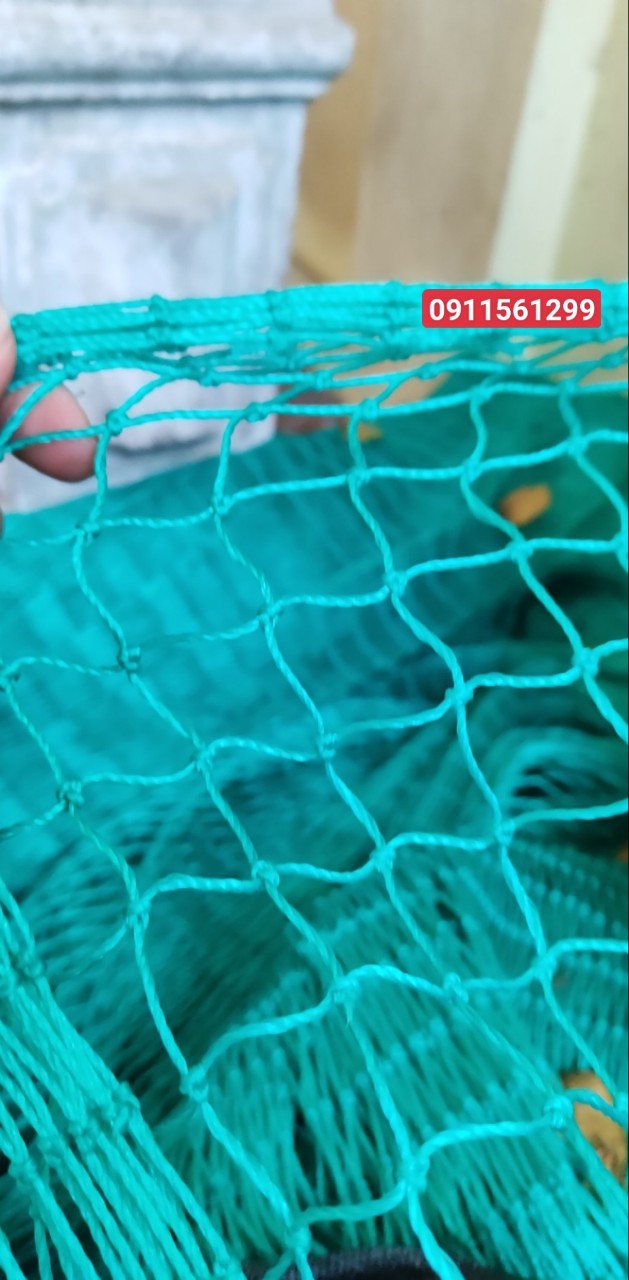 z3906859197209_f7a8ff935da035de7c520a567d8a1c00